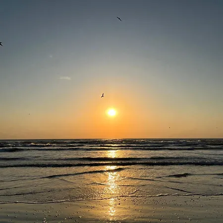 Excelsior Mamaia Nord Aparthotel