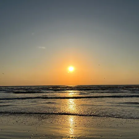 Excelsior Mamaia Nord Navodari